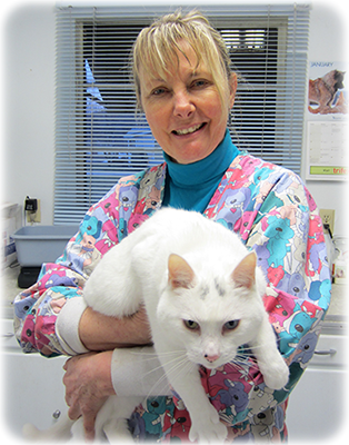 Dr. Becky Elfers